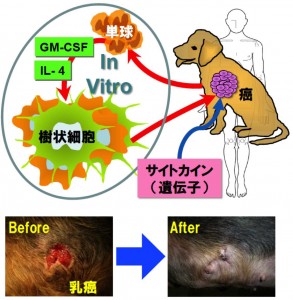 sugiura_fig